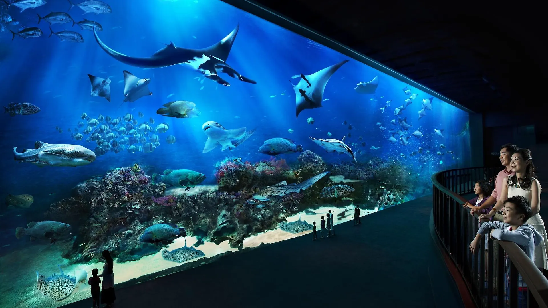 *****  Resorts World Sentosa - Equarius Hotel سنغافورة سنغافورة